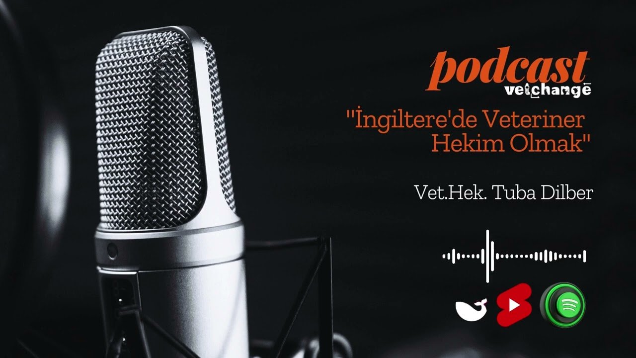 İngiltere'de Veteriner Hekim Olmak '' Vet. Hek. Tuba Dilber'' Part 1